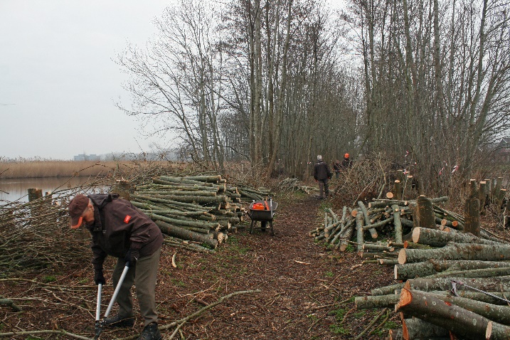 Afvoeren hout 